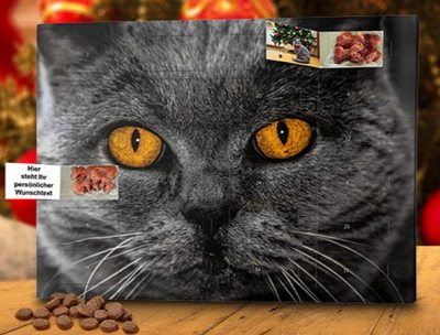 Foto-Adventskalender für Katzen