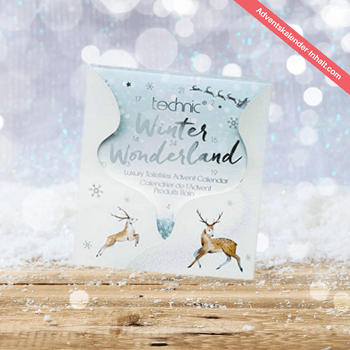 Technic „winter Wonderland“ Adventskalender 2018